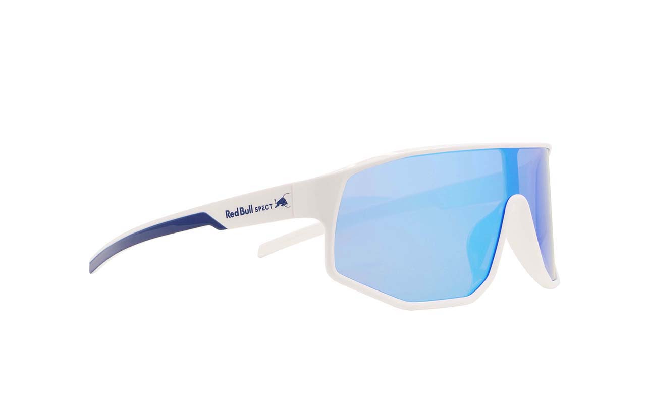 P2261_33-1_DASH-005-s1