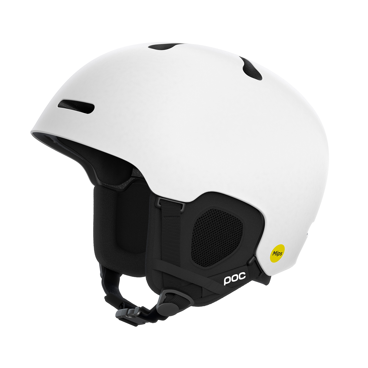 Poc Fornix MIPS