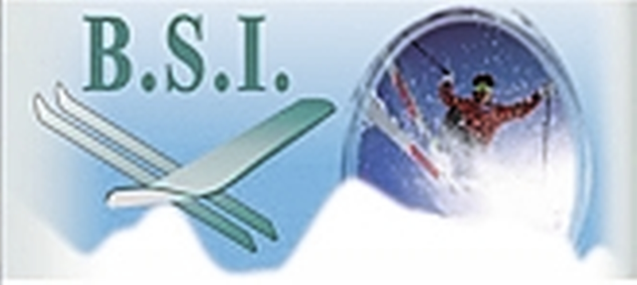 B-S-I-Logo